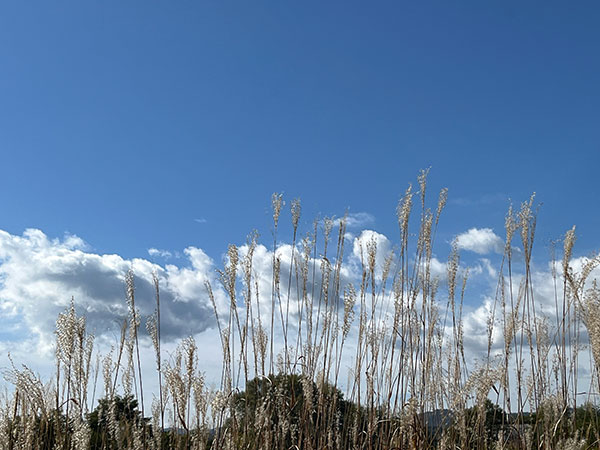 秋の空、旭川にて