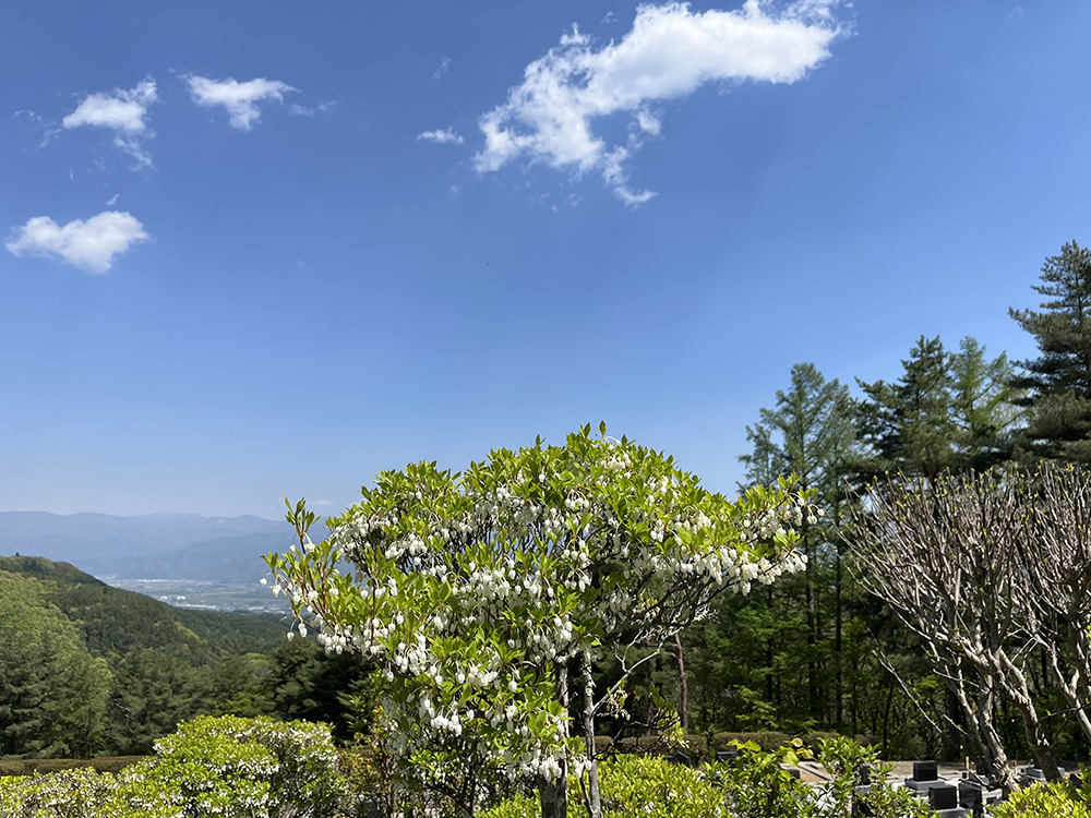 青空